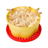 FTM Bienenmaden ca.40 St.