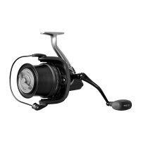 Delphin Spodcast 12000