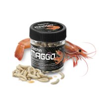 Delphin MaggoX Garnele