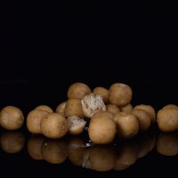 Carp Force Milk & Cream 20mm 1kg