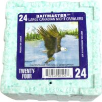 Kanadische Tauwürmer 48St