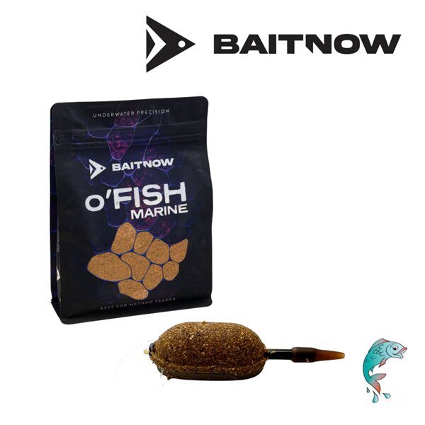 Bait Now Method Feeder Futter OFish Marine 800g