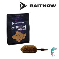 Bait Now Method Feeder Futter OFish Marine 800g