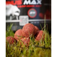 Trybion Cyprinus Max Hookbait 20mm 220g