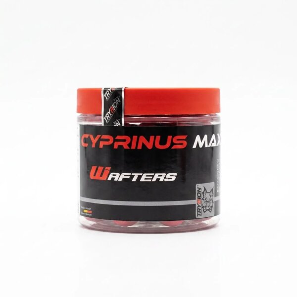 Trybion Cyprinus Max Wafters 20mm