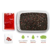Delphin Pellet Box Ready&Go Knoblauch Butyric