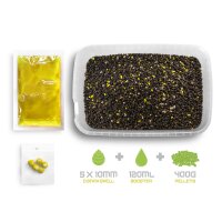 Delphin Pellet Box Ready&Go Mais Ananas