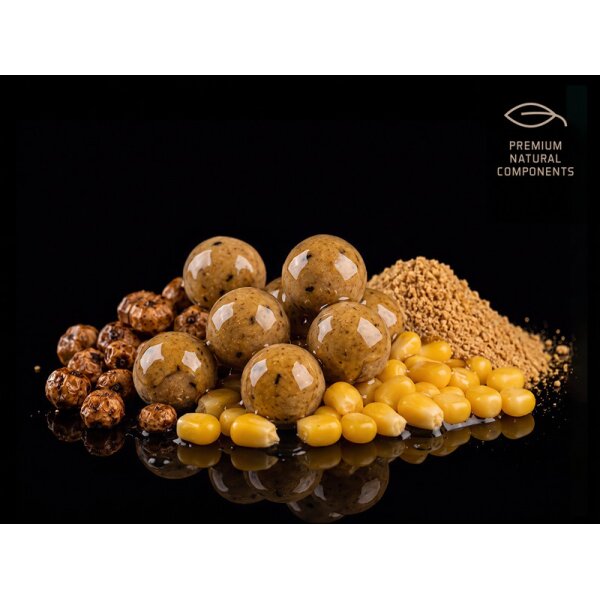 Delphin BreaX Boilies im Dip  NutCAKE 16mm 200ml