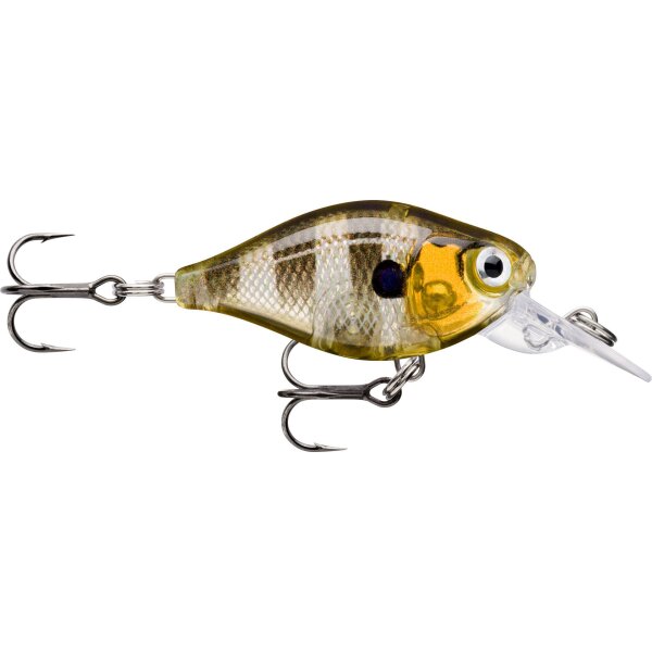 Glassy Gill