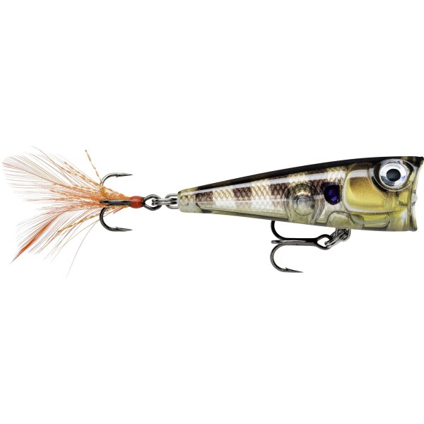 Glassy Gill