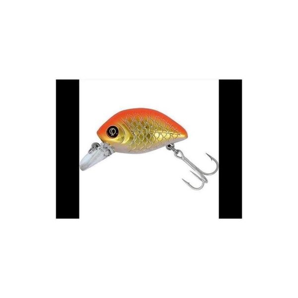 Goldfish